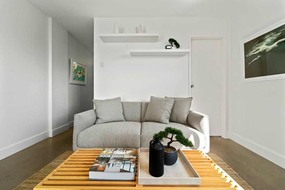 Modern Potts Point Apartment